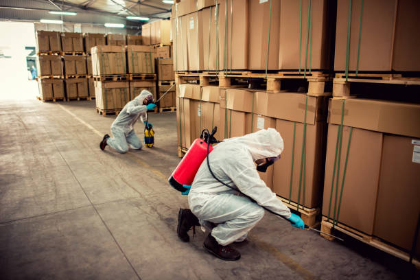 Best Local Pest Control Services  in West Laurel, MD