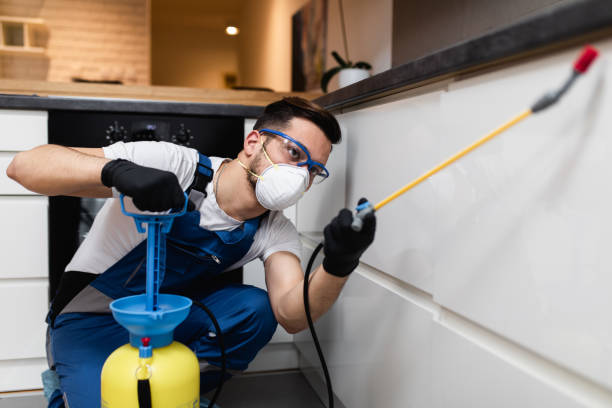 Best Affordable Pest Control Services  in West Laurel, MD