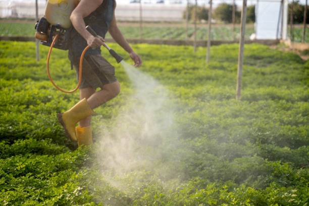 Professional Pest Control in West Laurel, MD