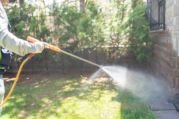 Bird Control in West Laurel, MD
