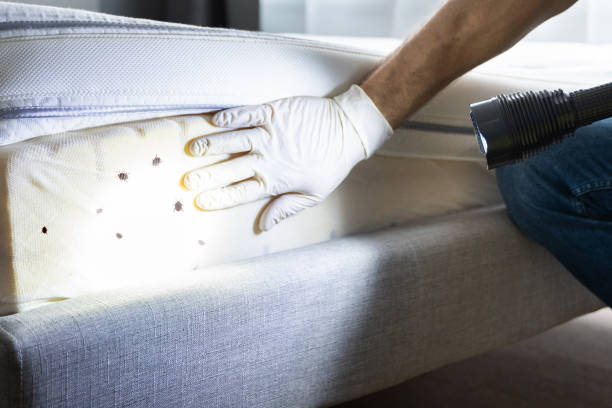 Best Residential Pest Control  in West Laurel, MD