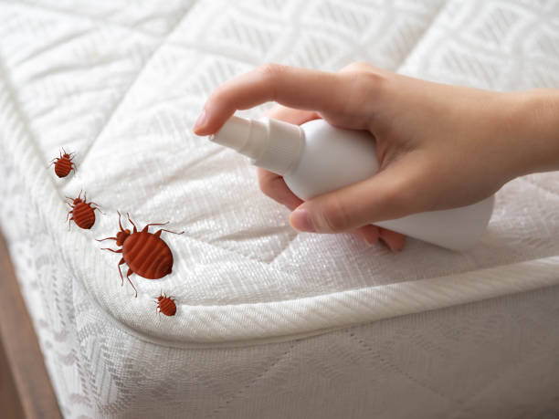 Best Affordable Pest Control Services  in West Laurel, MD