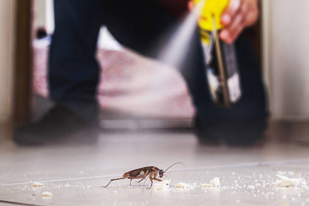 Wildlife Control Services in West Laurel, MD