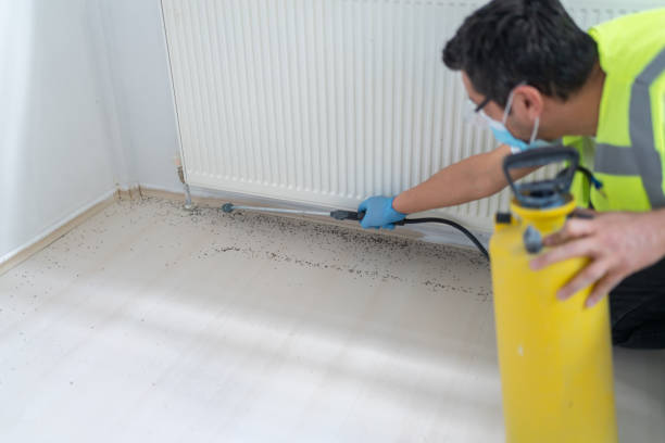 Best Wasp Removal Services  in West Laurel, MD