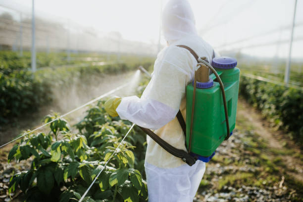 Best Exterminator Services  in West Laurel, MD